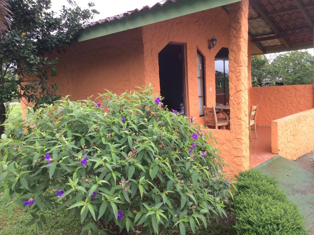 Cabinas Los Guayabos Hotell La Fortuna Rom bilde