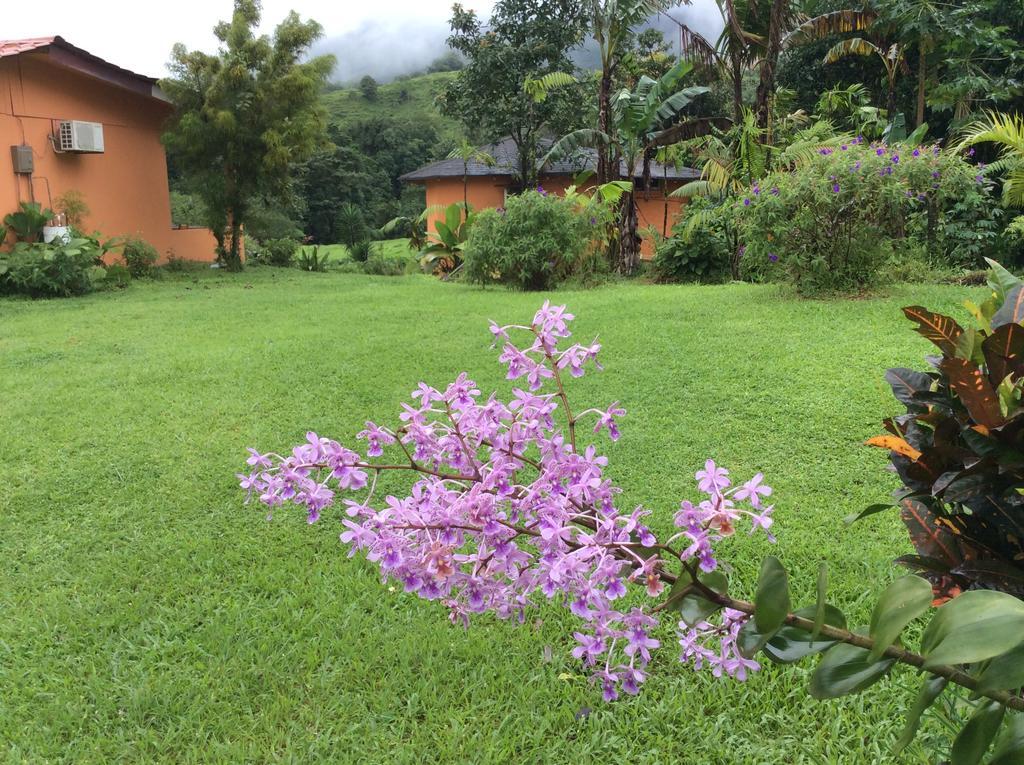 Cabinas Los Guayabos Hotell La Fortuna Eksteriør bilde