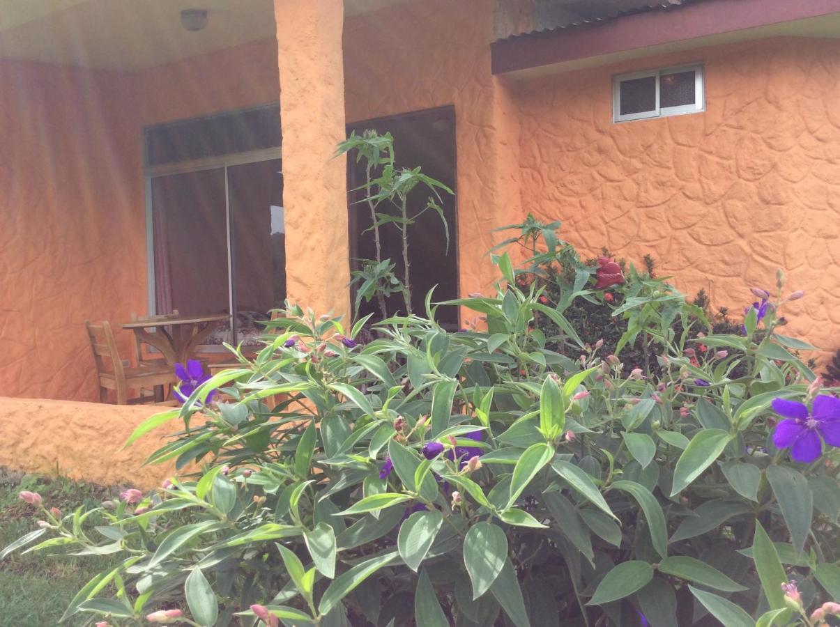 Cabinas Los Guayabos Hotell La Fortuna Eksteriør bilde
